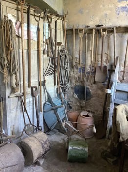 IMG 0771